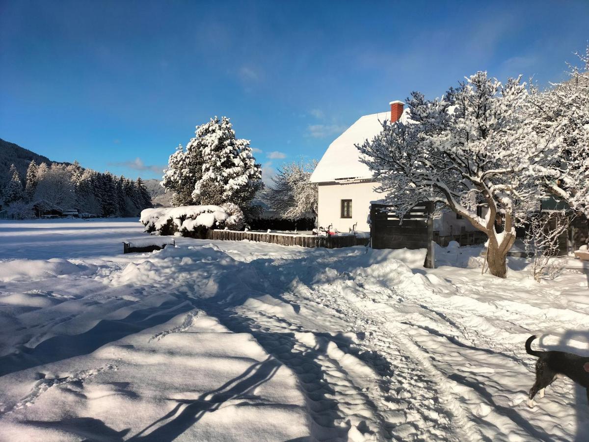 Ferienhaus Georgie Lejlighed Teufenbach  Eksteriør billede
